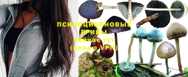 скорость Киреевск