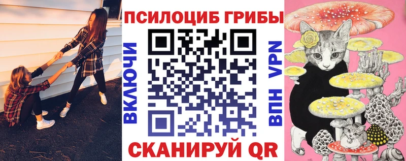 Галлюциногенные грибы GOLDEN TEACHER Обнинск